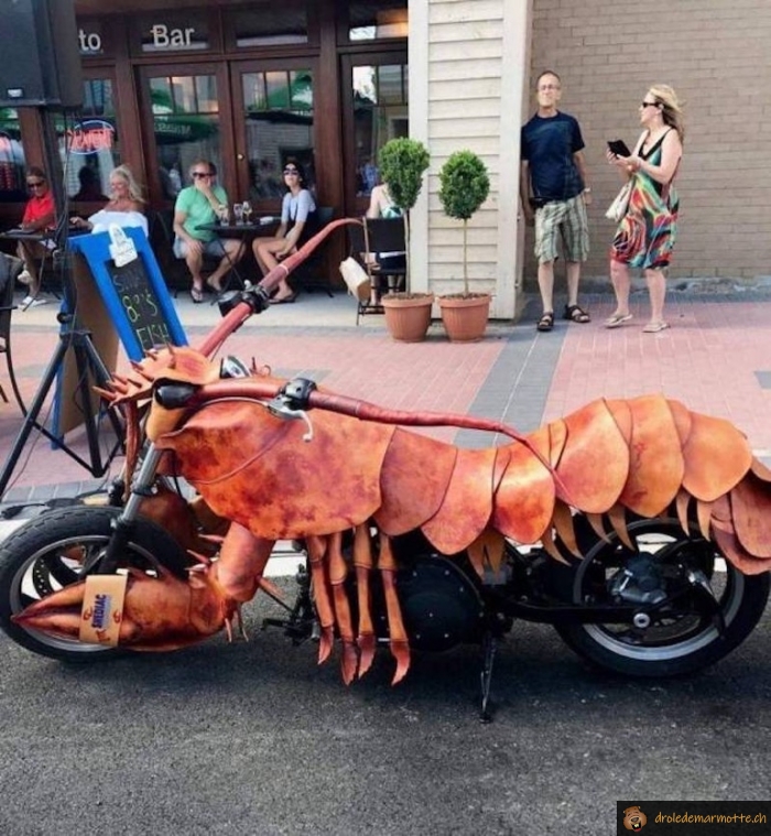 Je viens d'acheter une moto historique! Moto-homard